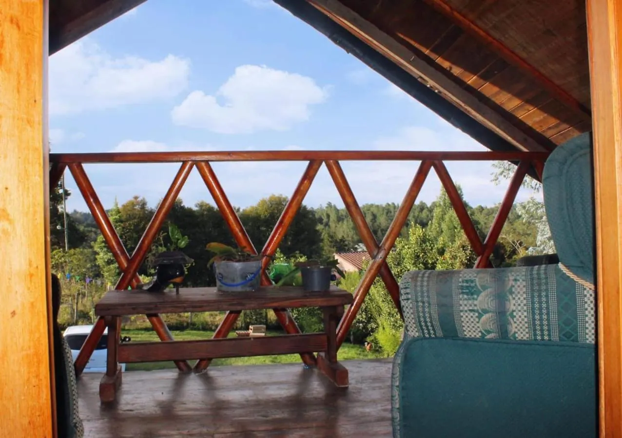 Ξενοδοχείο Hostal Techo Verde Μεντεγίν